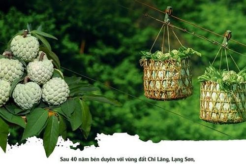 Hành trình hái 'ngọc trên đá' ở ải Chi Lăng