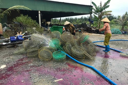 Khi doanh nghiệp lấn sân - Bài cuối: 'Ôm' tiền hỗ trợ làm dự án rồi... chuyển nhượng?