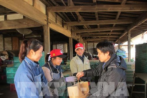 Nhật Bản điều chỉnh giới hạn tiếp nhận thực tập sinh kỹ năng đặc định nước ngoài