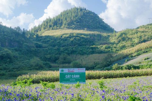 Cuộc lột xác ngoạn mục trong thung lũng Bắc Hà