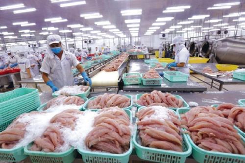 Điểm sáng giữa những biến động