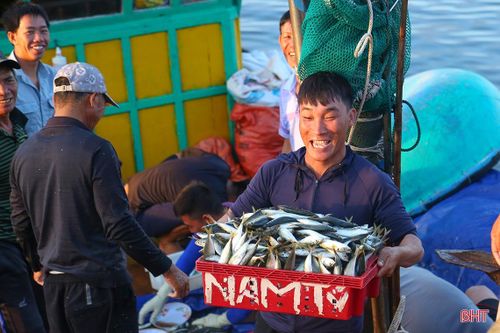 Hải sản dồi dào đáp ứng nhu cầu trong kỳ nghỉ lễ ở Hà Tĩnh