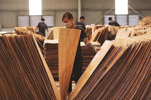 Xuất khẩu gỗ dán sang Mỹ gặp khó
