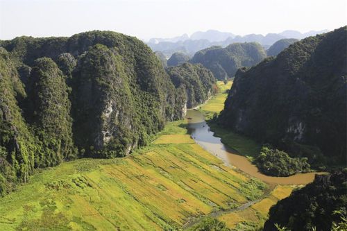 Đẹp nao lòng mùa lúa chín vùng Tam Cốc