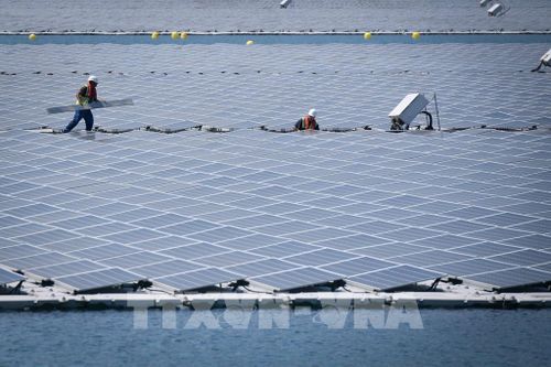 Pháp: Lạm phát giảm mạnh nhờ biện pháp bảo hộ thuế quan năng lượng