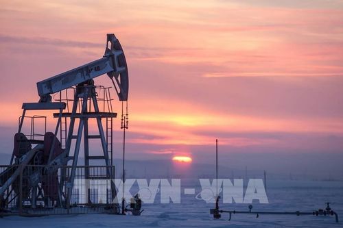 G7 lên kế hoạch áp giá trần đối với dầu nhập khẩu từ Nga