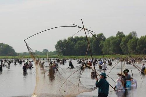 Hàng trăm người bì bõm lội bùn bắt cá ngày hội 'phá trằm'