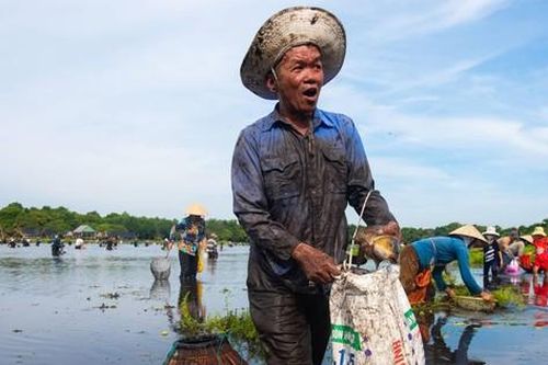 Nô nức đi hội 'phá Trằm' bắt cá độc đáo ở vùng đất lửa