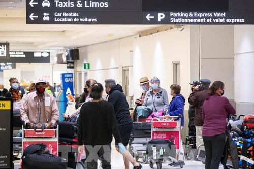 Canada có nguy cơ mất lợi thế trên thị trường giáo dục quốc tế