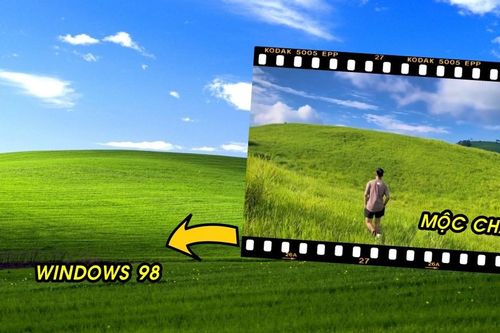 'Bãi cỏ Windows' ở Mộc Châu bỗng nổi như cồn trên bản đồ check-in