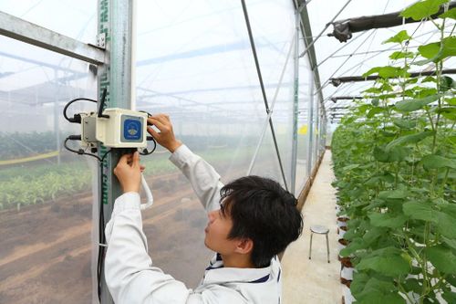 Giải pháp mở rộng mô hình nông nghiệp thông minh