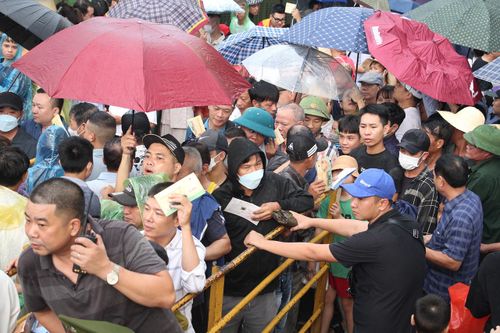 Vạn người đội mưa, chen chân về xem Lễ hội chọi trâu Đồ Sơn, Hải Phòng