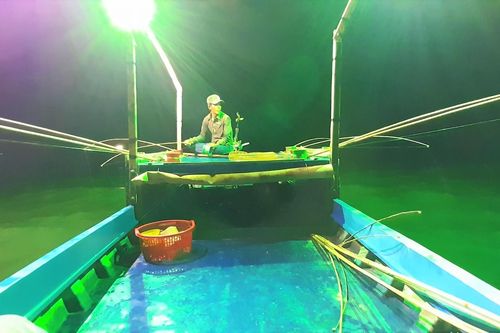 Câu mực mé của ngư dân ven biển Cà Mau có thể thu 2 triệu đồng/đêm