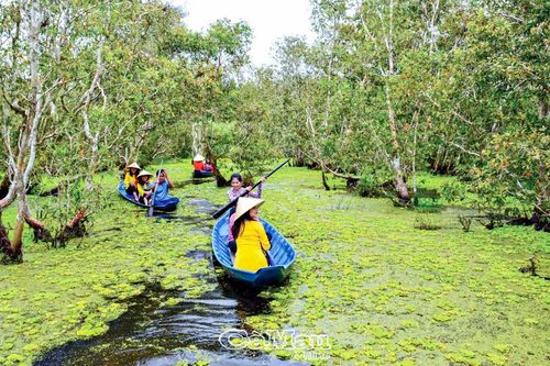 Cà Mau: Bơi xuồng ba lá giữa U Minh Hạ