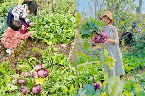 Lần đầu trồng rau nản muốn bỏ, vườn của bà mẹ Quảng Ninh hiện giờ khiến bao người mê