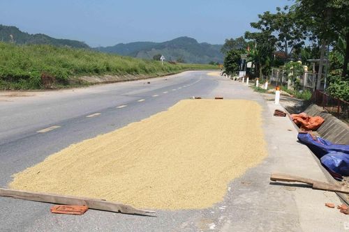 Ngăn đường làm sân phơi lúa: Chuyện 'khổ lắm... nói mãi'!