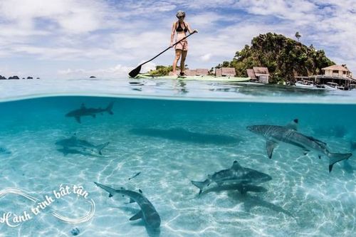 Đi tìm 'thiên đường cuối cùng trên Trái đất': Ở rất gần Việt Nam