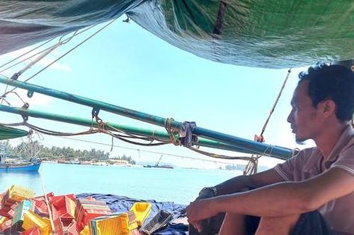 Quảng Nam: Tàu nằm bờ hàng dài vì giá dầu tăng kỷ lục