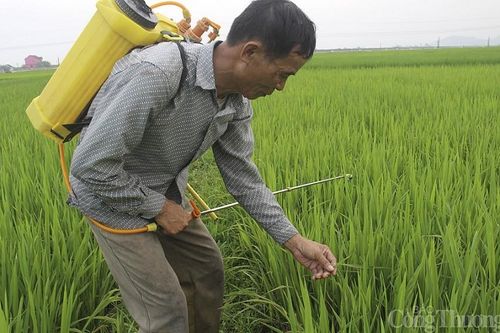 Nghệ An: Thiếu hơn 35.794 bể chứa bao bì, vỏ chai thuốc bảo vệ thực vật