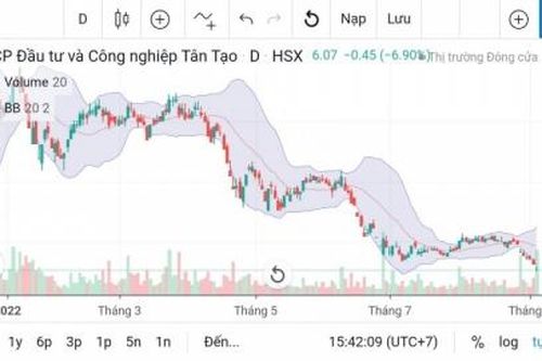Nhà đầu tư tháo chạy khiến cổ phiếu ITA giảm sàn sau khi Tổng Cục Thuế ra 'tối hậu thư'