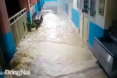 Mưa lớn, đổ tường rào, trường tiểu học phải cho học sinh tạm nghỉ học
