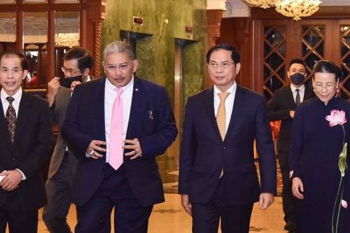 Bộ trưởng Ngoại giao Bùi Thanh Sơn dự Lễ kỷ niệm 77 năm Quốc khánh 2/9 tại Brunei