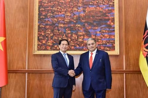 Việt Nam-Brunei: Phát triển quan hệ sâu rộng, thực chất