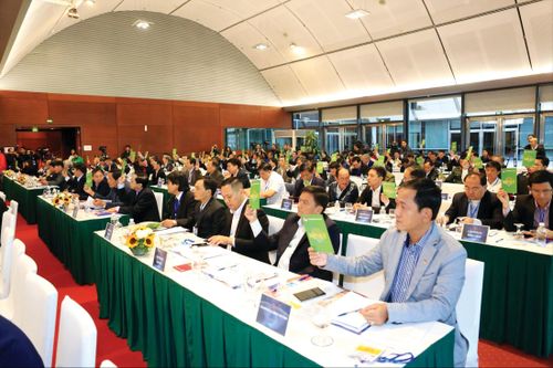 Đại hội 9 VFF ít ứng viên nặng ký