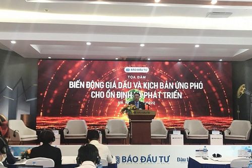 Tọa đàm Biến động giá dầu và kịch bản ứng phó cho ổn định, phát triển