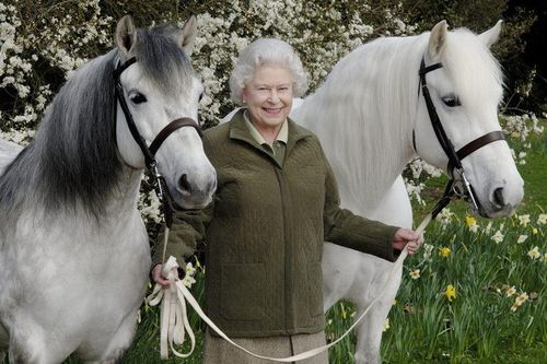 Thú vui từ năm 3 tuổi đến lúc già của Nữ hoàng Elizabeth II