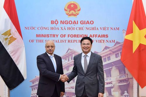 Ai Cập là một trong những đối tác quan trọng của Việt Nam tại Trung Đông-châu Phi