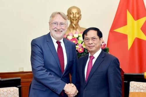 Việt Nam luôn coi EU là đối tác kinh tế - phát triển quan trọng hàng đầu