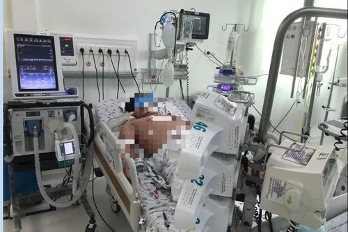 Ca mắc sốt xuất huyết tăng gấp 4 lần, Bộ Y tế 'giục' nhà cung ứng khẩn trương tìm nguồn thuốc điều trị