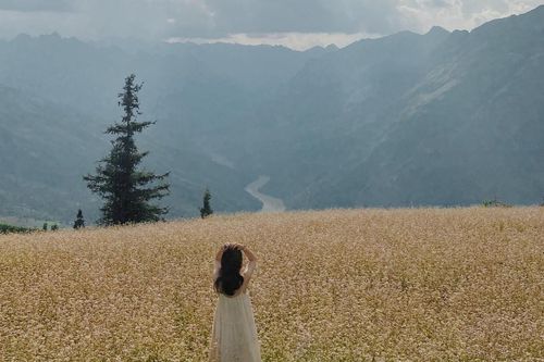 Thảo nguyên đẹp như 'Thụy Sĩ thu nhỏ giữa Hà Giang'
