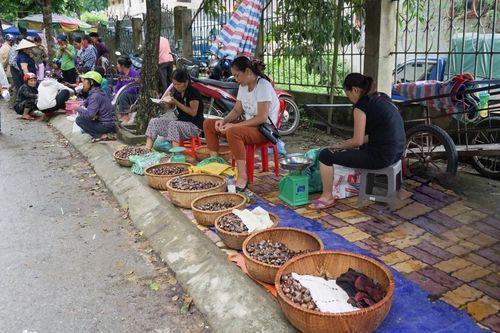 Trùng Khánh, tháng 9