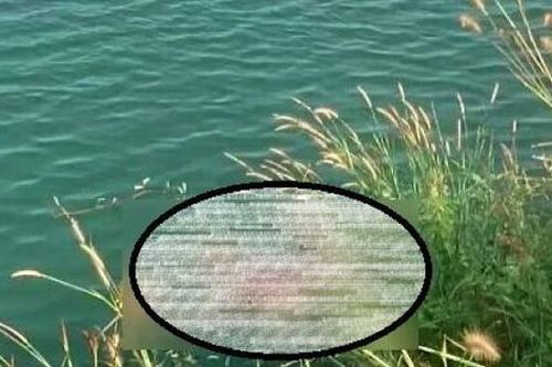 Phát hiện cánh tay người móc vào lưỡi câu ở Bình Dương