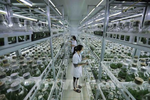 Sản xuất giống cây trồng -Bài cuối: Chuyển đổi tư duy kinh tế nông nghiệp