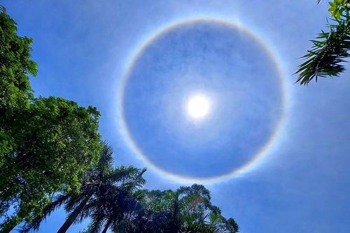 Hào quang tuyệt đẹp xuất hiện ở Móng Cái: Chuyên gia nói gì?