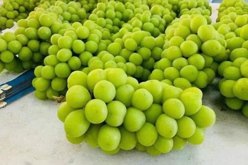 Sự thật nho mẫu đơn tiền triệu đang được bán ngập chợ, giá siêu rẻ