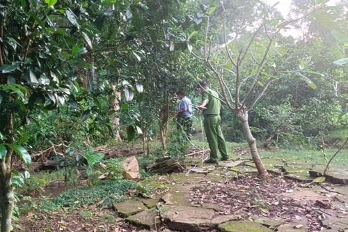 Phát hiện thi thể người đàn ông phân hủy dưới suối