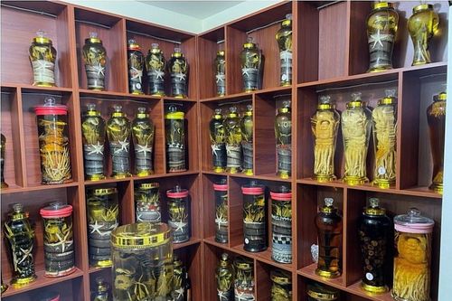 Hà Nội: Thu giữ gần 1.000 lít rượu ngâm động vật, thực vật không rõ nguồn gốc
