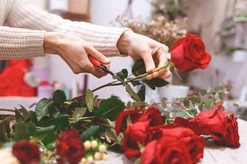 Giữ hoa hồng tươi lâu hơn nhờ 4 mẹo nhỏ này, cực đơn giản ai cũng có thể làm được!