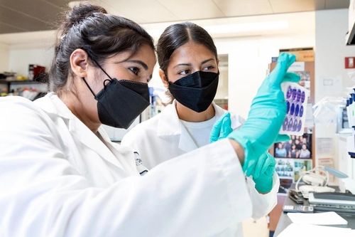 Thuốc kháng virus mới có thể ngăn chặn lây truyền virus SARS-CoV-2