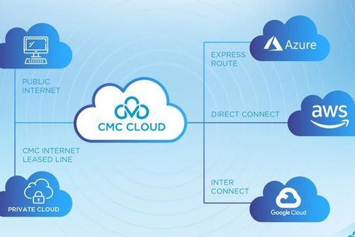 Multi Cloud và những bước đầu tư 'nội lực' của nhà cung cấp Việt