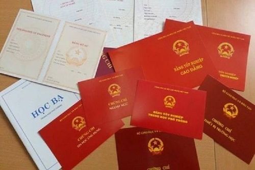 Rà soát hồ sơ kỹ hơn sau vụ 3 giáo viên mầm non dùng bằng giả