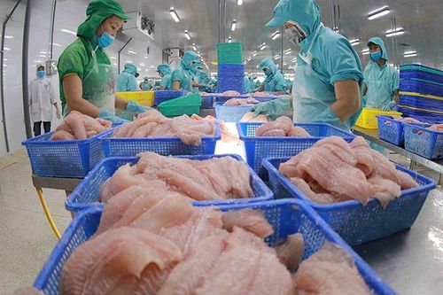 Công Thương qua góc nhìn báo chí ngày 16/9: Tổng kiểm tra cửa hàng hoa quả nhập khẩu