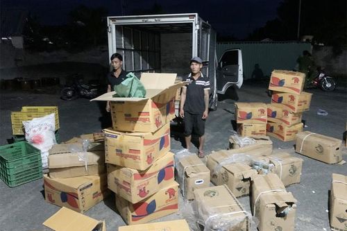 Phát hiện số lượng lớn thuốc bảo vệ thực vật không có tên trong danh mục tại Việt Nam