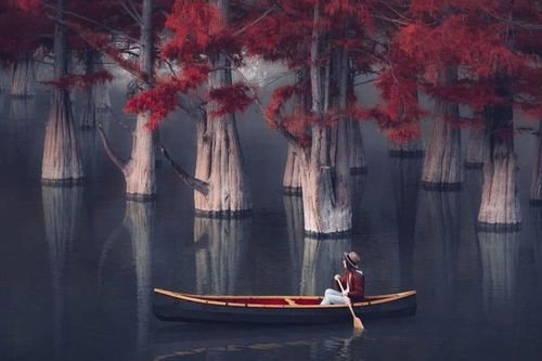 Khu rừng đỏ bí ẩn ở Nga