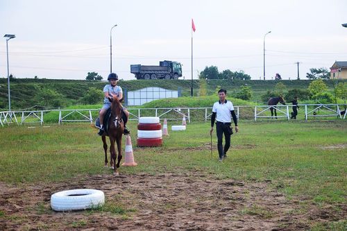Tiếng vó ngựa triền đê