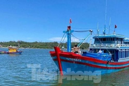 Lời kể của ngư dân Quảng Ngãi bị ca nô nước ngoài bắn gây thương tích trên biển